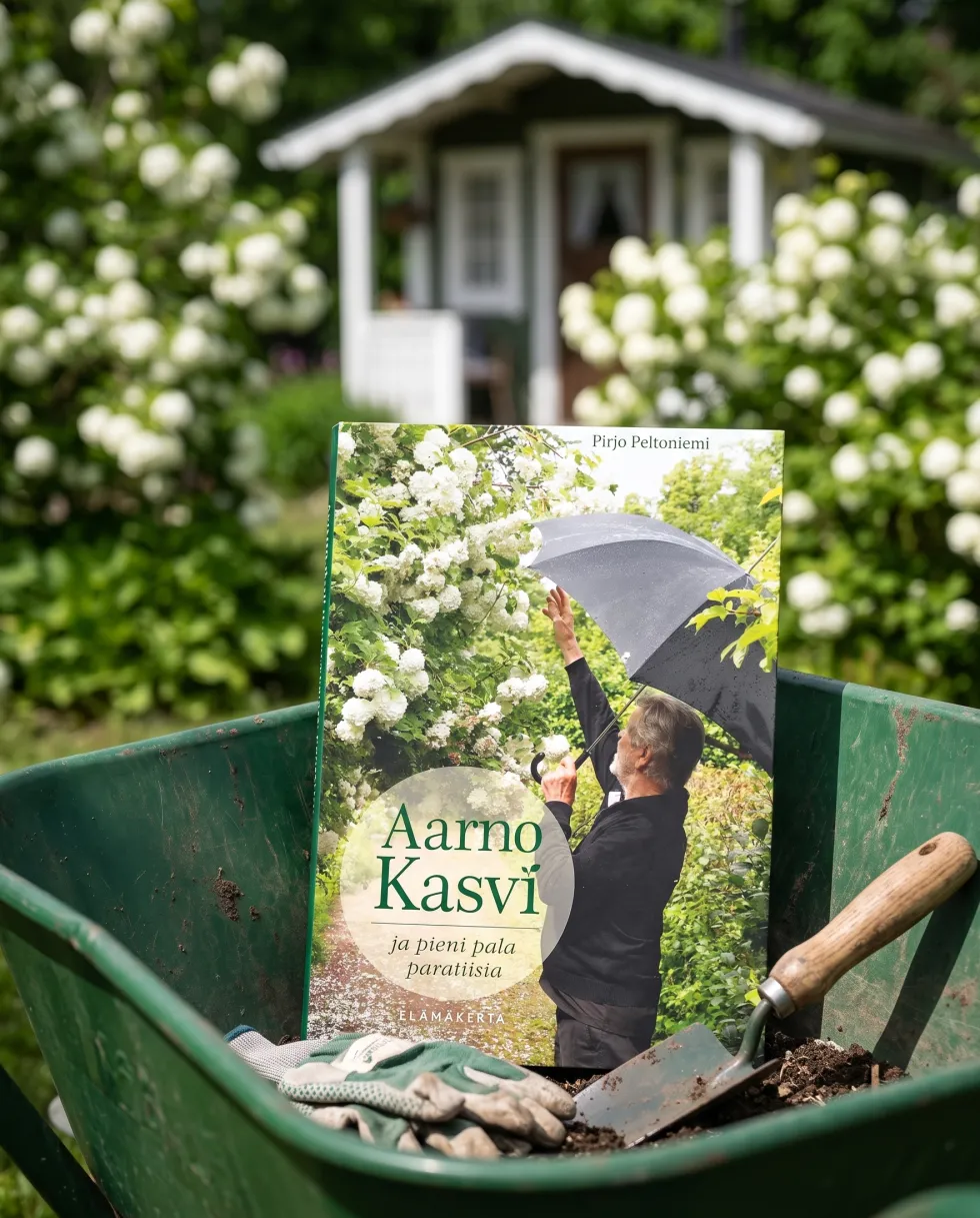 Aarno Kasvi - Ja pieni pala paratiisia