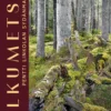 Alkumetsä