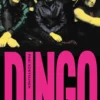 Dingo