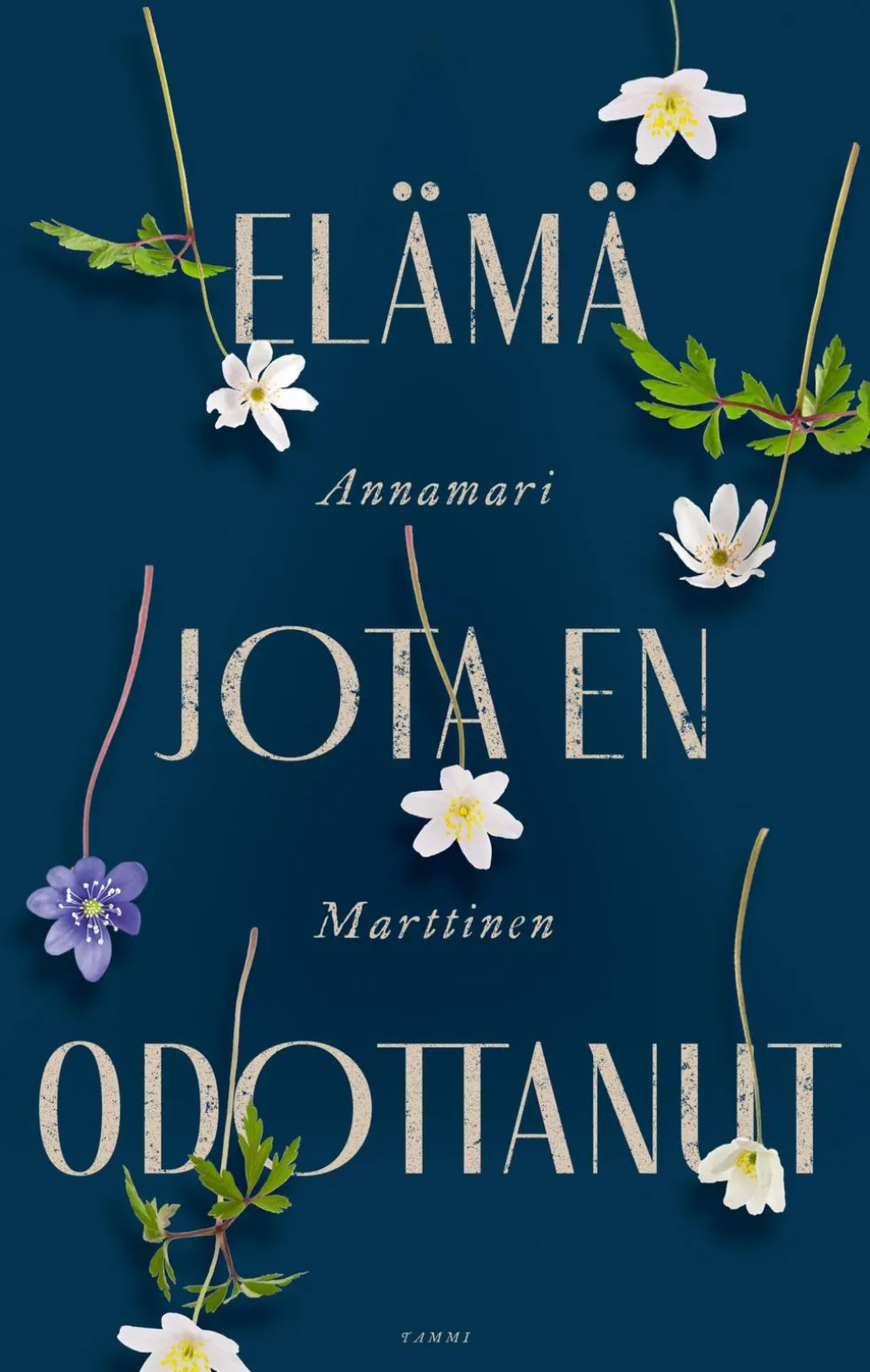 Elämä jota en odottanut