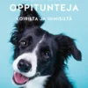 Elämän oppitunteja koirilta ja ihmisiltä