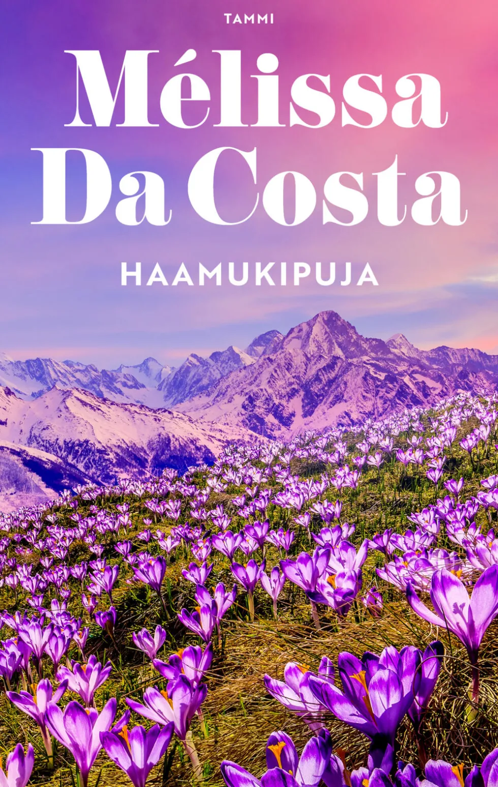 Haamukipuja