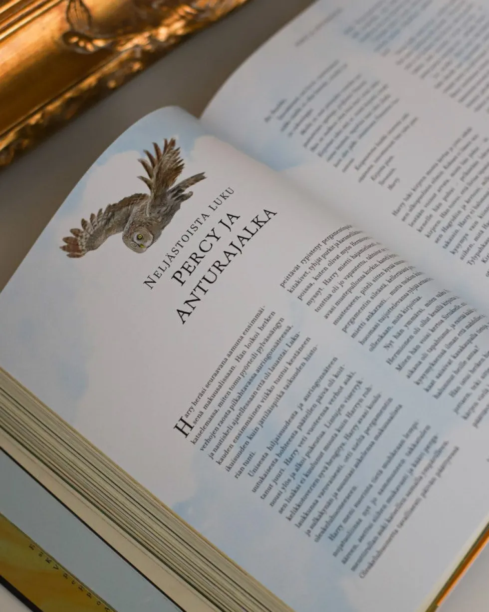 Harry Potter ja Feeniksin kilta (kuvitettu)