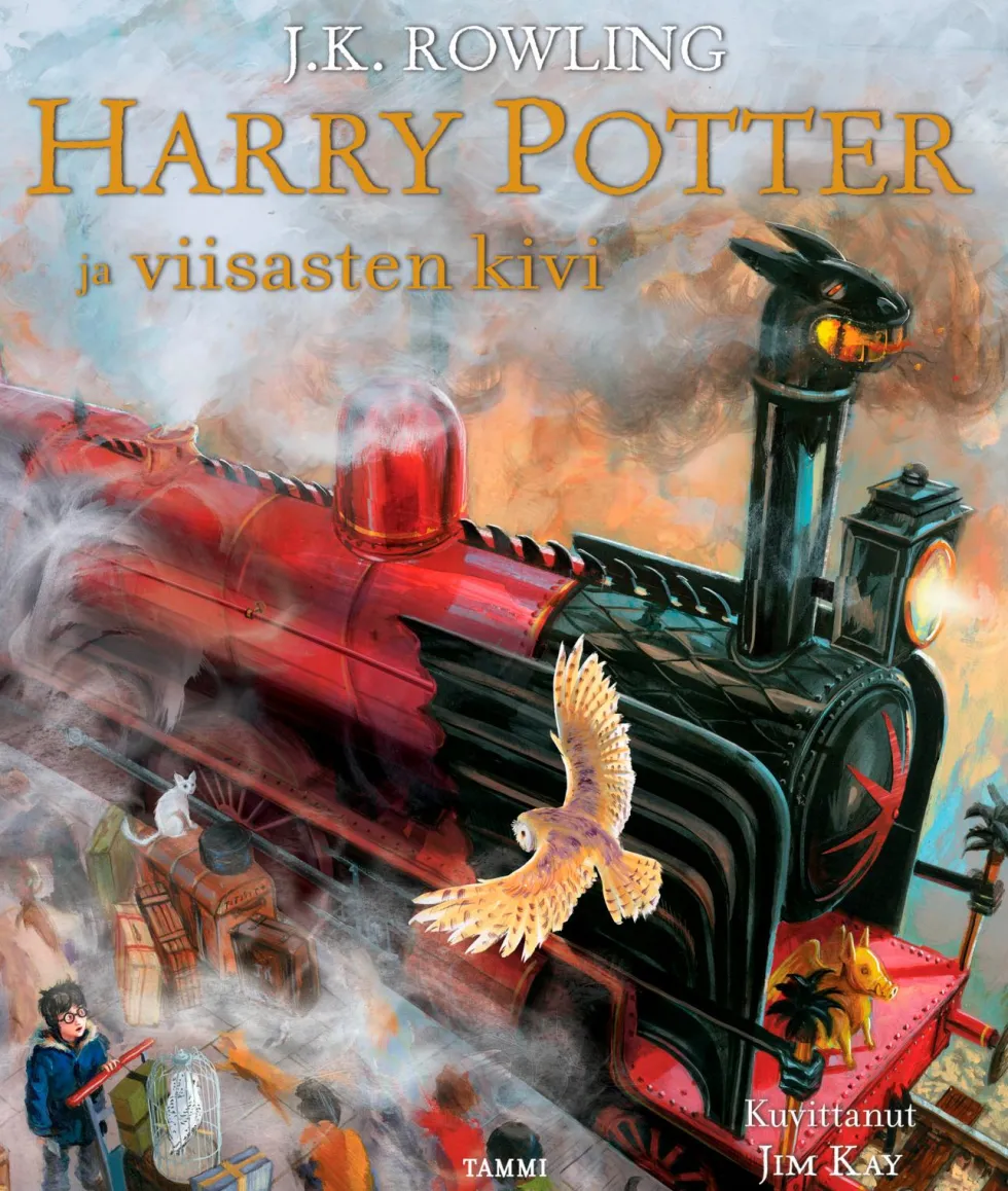 Harry Potter ja viisasten kivi (kuvitettu)