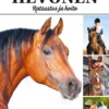 Hevonen