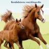 Hevonen
