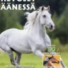 Hevoset äänessä - 50 ääntä