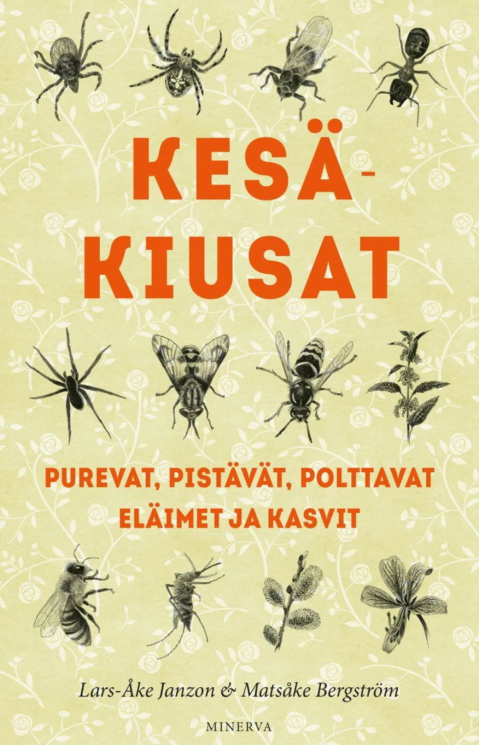 Kesäkiusat