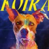 Koira