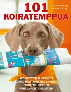 101 koiratemppua