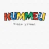 Kummeli – Vihko kiinni (signeerattu)