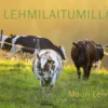 Lehmilaitumilla