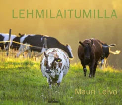 Lehmilaitumilla