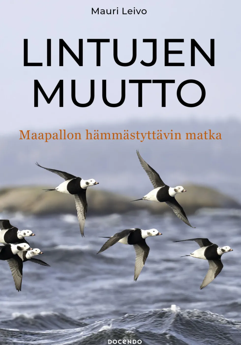 Lintujen muutto – Maapallon hämmästyttävin matka