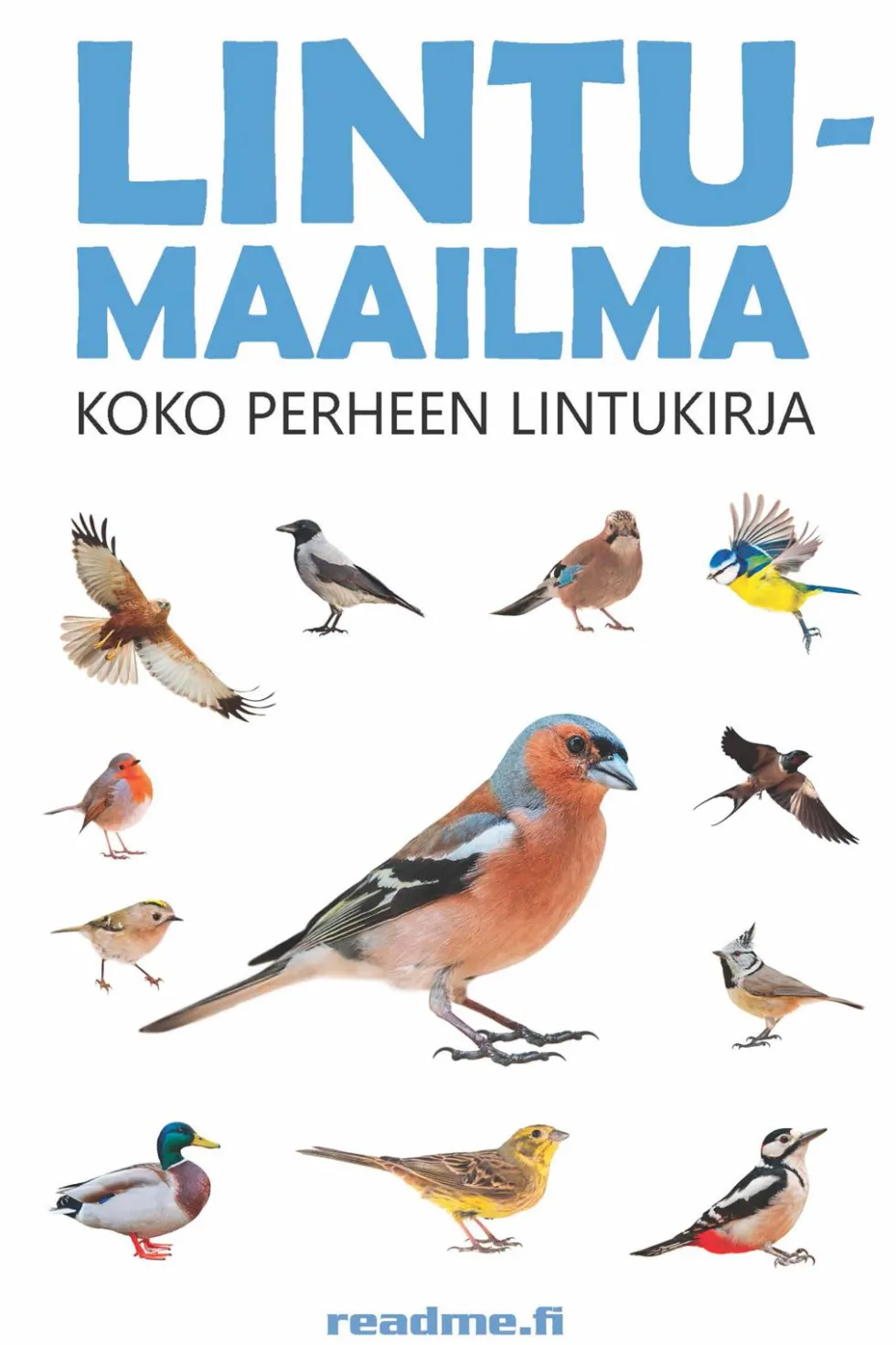Lintumaailma - Koko perheen lintukirja
