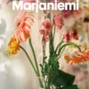 Marjaniemi