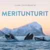 Meritunturit