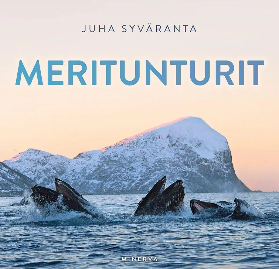 Meritunturit