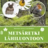 Metsäretki lähiluontoon