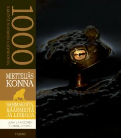 Mietteliäs konna