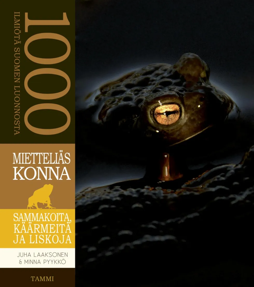 Mietteliäs konna