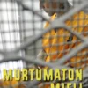 Murtumaton mieli