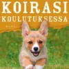 Onnistu koirasi koulutuksessa