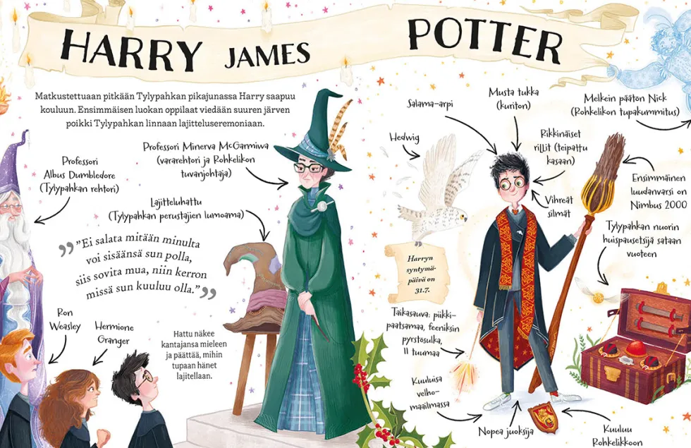 Pikku-Potterit. Harry Potter