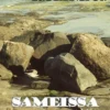Sameissa vesissä