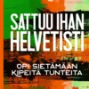 Sattuu ihan helvetisti