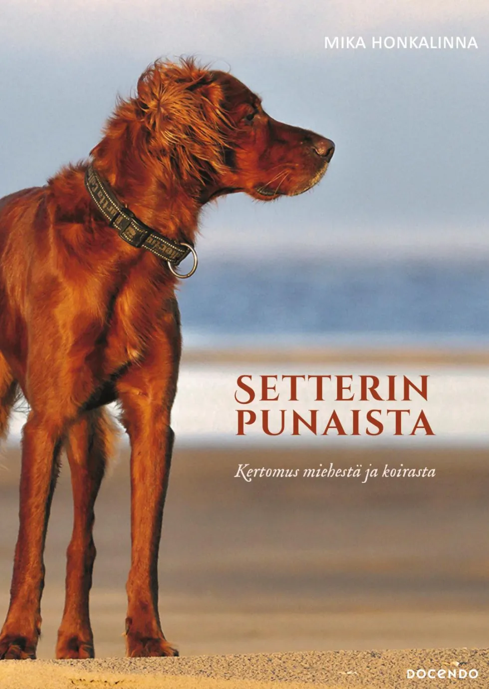Setterinpunaista