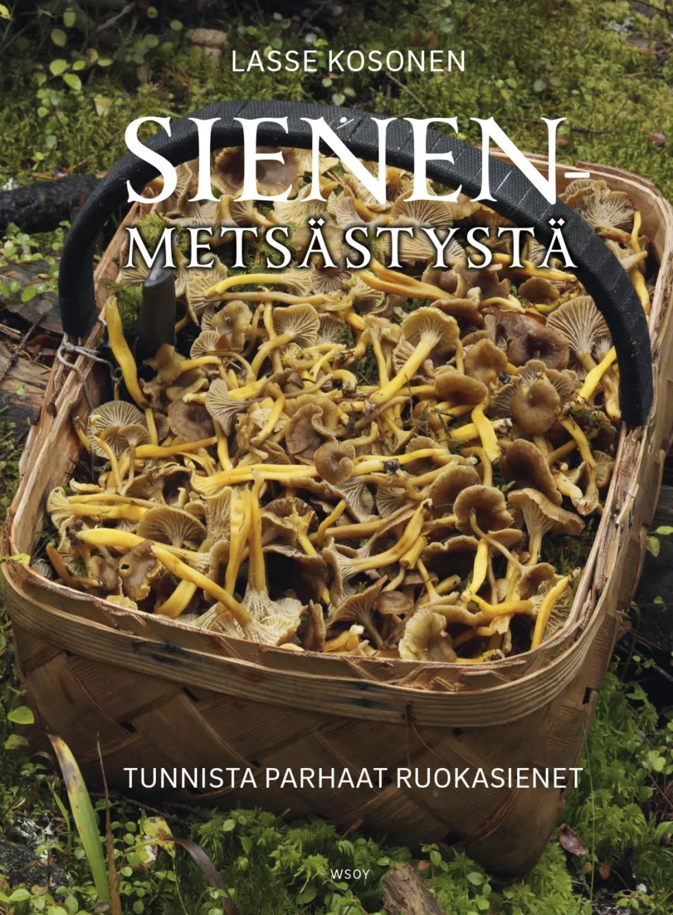 Sienenmetsästystä. Tunnista parhaat ruokasienet