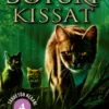 Soturikissat: Tähdetön klaani 4: Myrsky