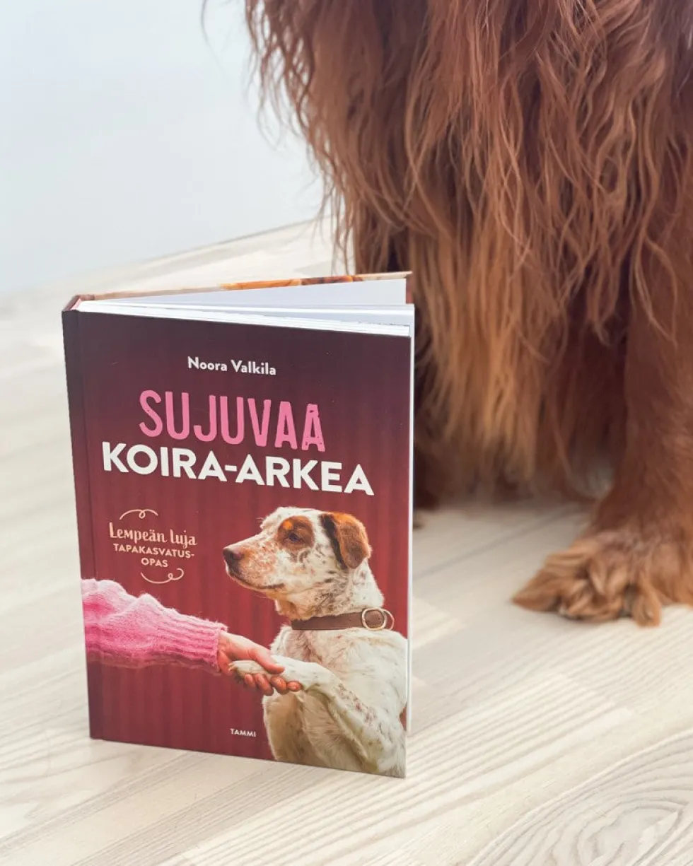 Sujuvaa koira-arkea