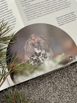 Suomen pikkunisäkkäät