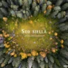 Suo siellä