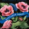 Syyttävä sormi