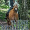 Taitava ratsastaja