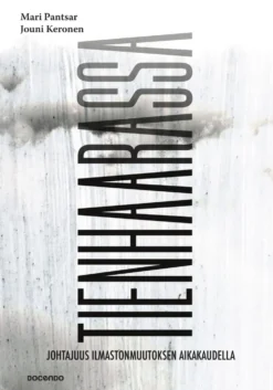 Tienhaarassa