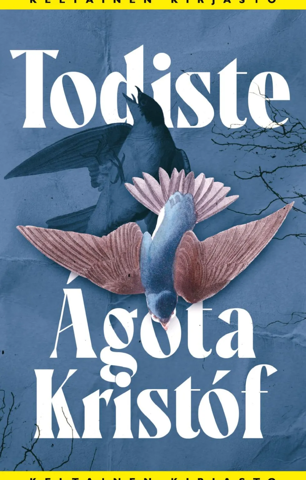 Todiste