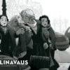 Villimpi Pohjola: Pelinavaus